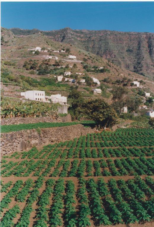 הוילה הרמיגואה La Cuadra חדר תמונה